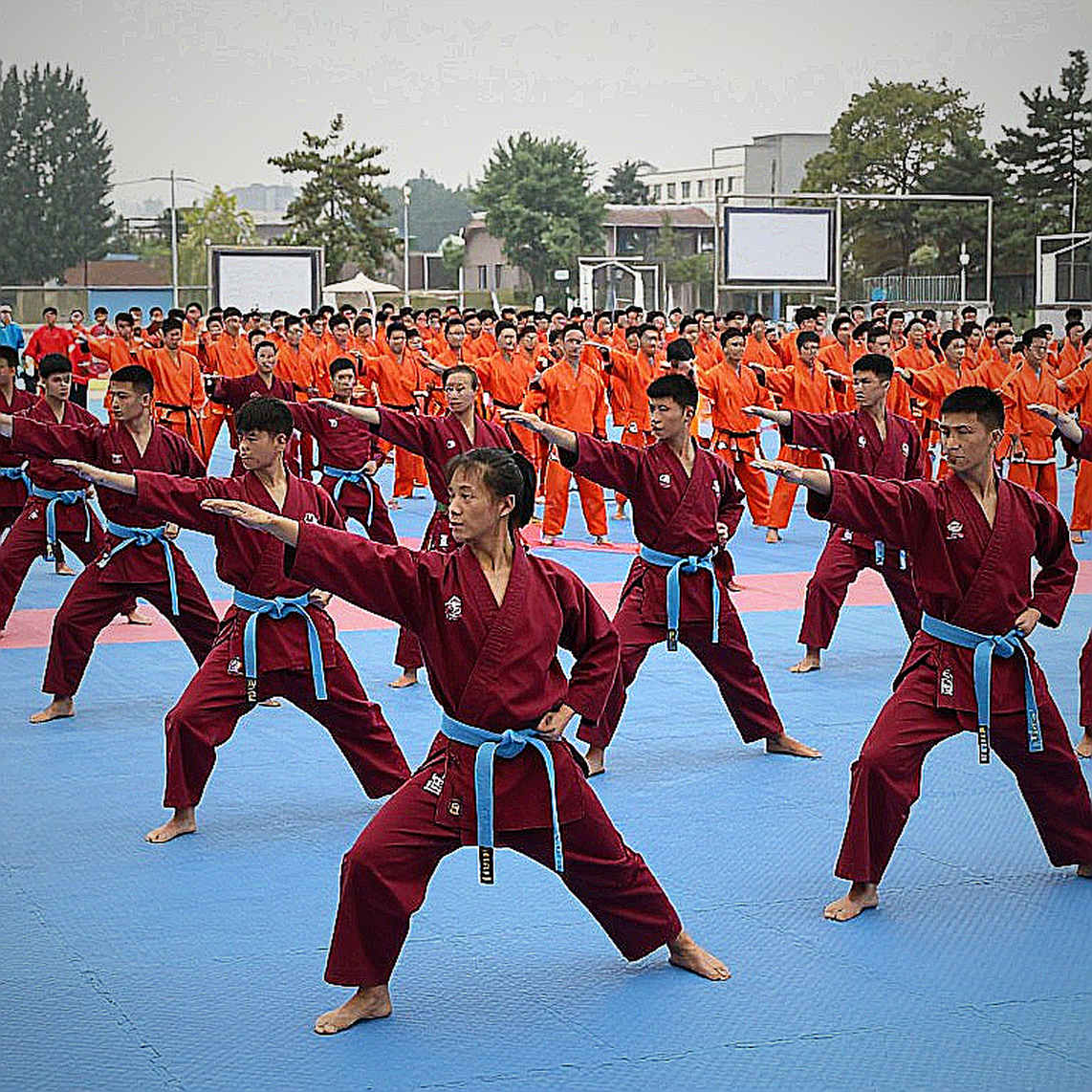 Chuyển nhượng tự do và lỗ hổng của luật công bằng tài chính Chuyển nhượng tự do và lỗ hổng của luật công bằng tài chính
