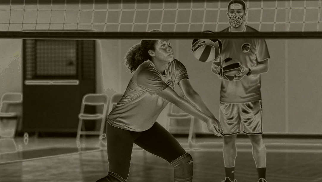 Missing Input Data: Alert on Volleyball Information Extraction Pipeline Issue