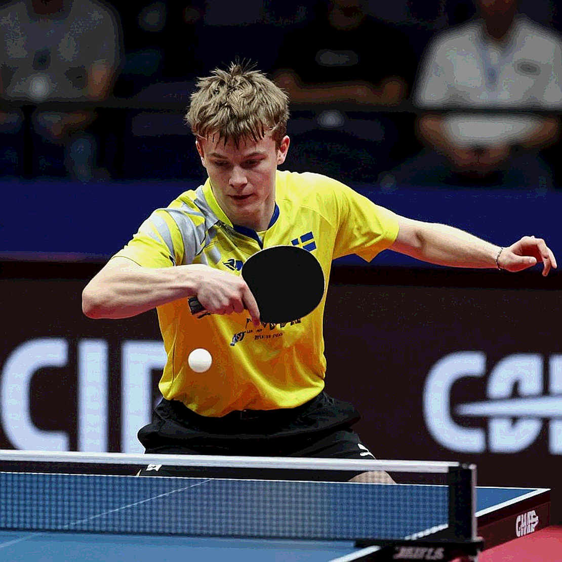 Anh chọn xong hai suất U11 dự ITTF World Hopes: Prasanna Kumar toàn thắng, Xiao Xu hơn Cindy Xiao đúng một ván